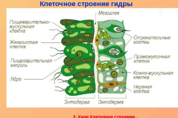 Зайти на кракен без тора