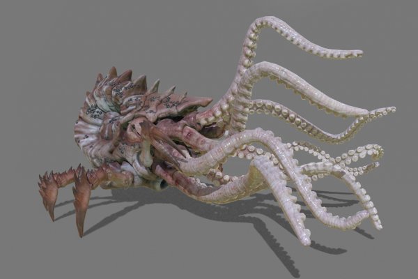 Kraken ем
