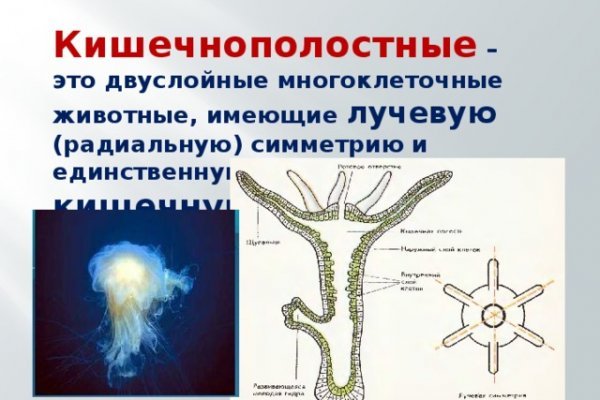 Как закинуть деньги на кракен